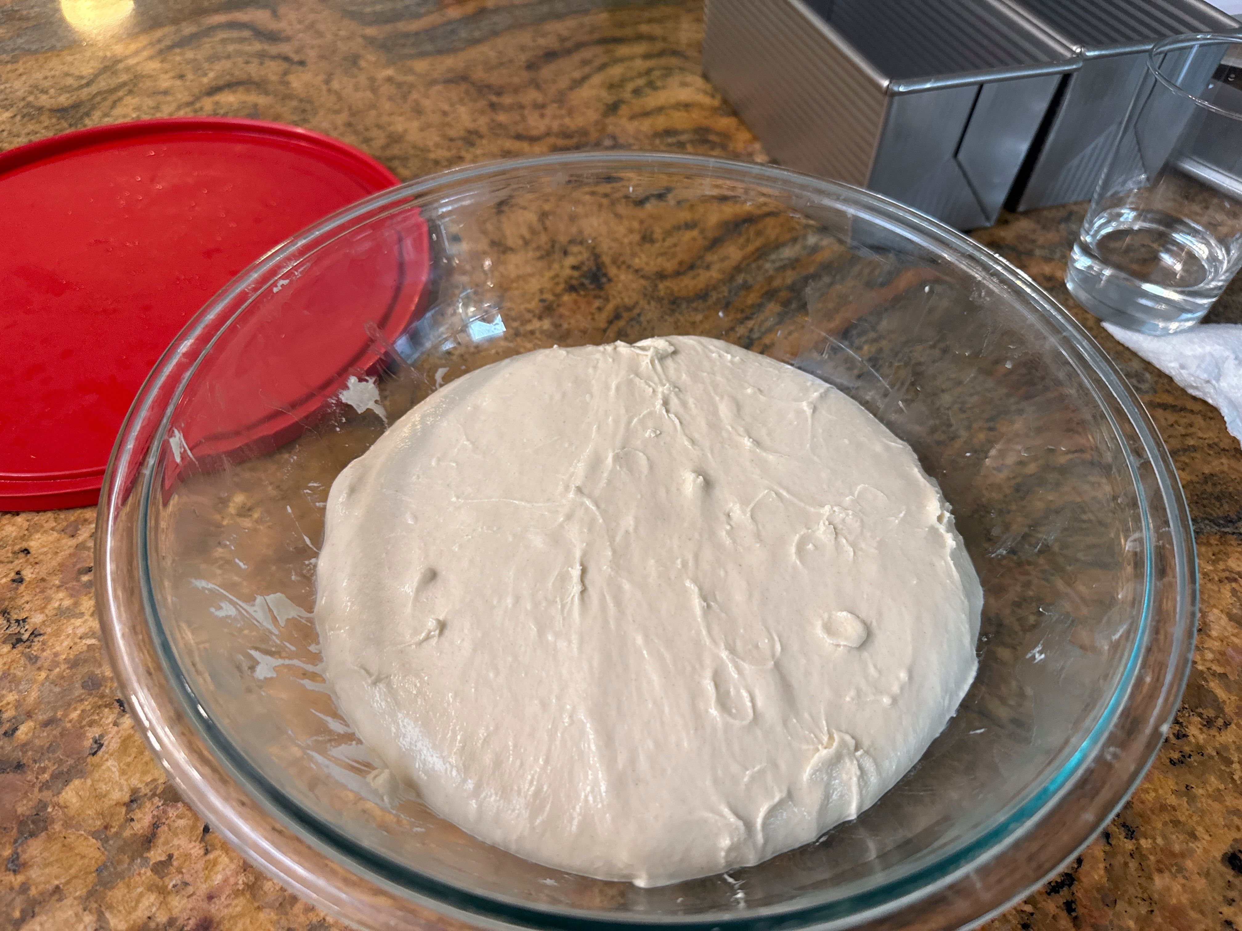 cues: ~35–40% rise, sparse small bubbles, dough @~71–73F; would extend next time